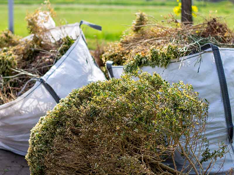 bramble removal and vegetation clearance in the South Lakes