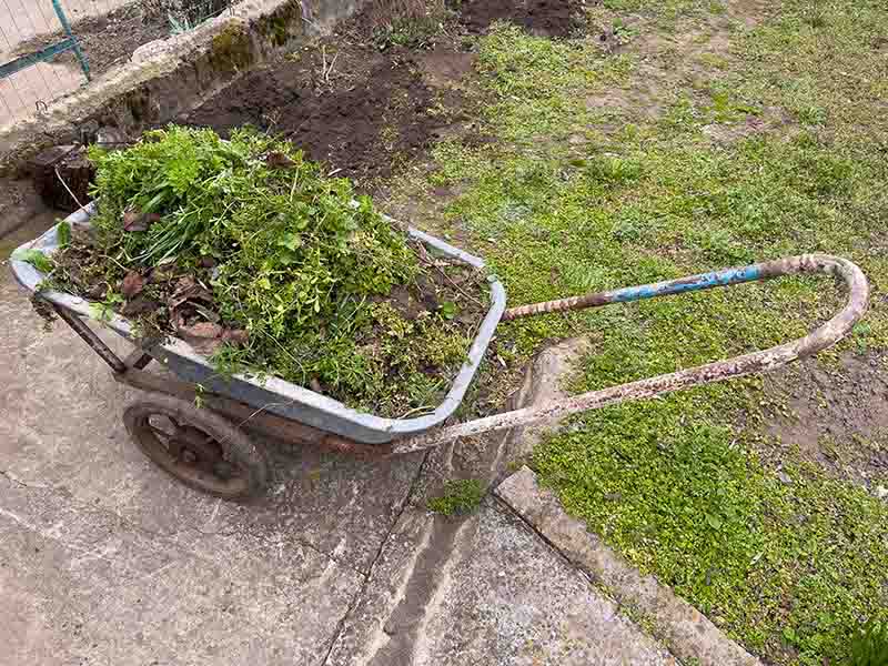 garden waste removal in Kendal Cumbria