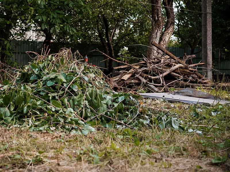 end of tenancy garden clearance in Kendal and Cumbria
