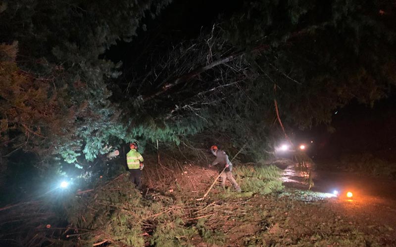 JH Landscaping & Groundworks Kendal and Lake District clearing trees on road at night after storm arwen